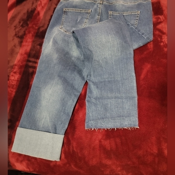My Style Jean /Crops/Capri/ 7/8 - Picture 4 of 5